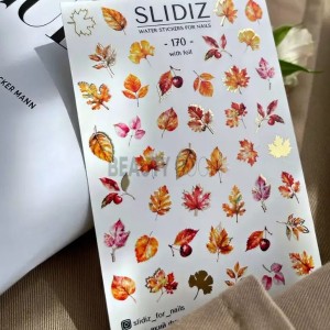 SLIDIZ Slider design 170