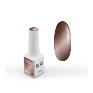 NAILSOFTHEDAY Korean Cat Eye 19 — a warm dark brown cat eye gel polish. 6 ml.
